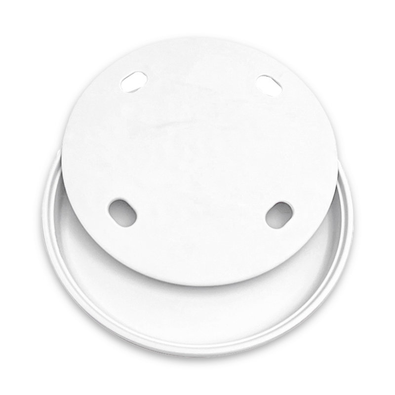 Dry Ice Smoke Serving Trays